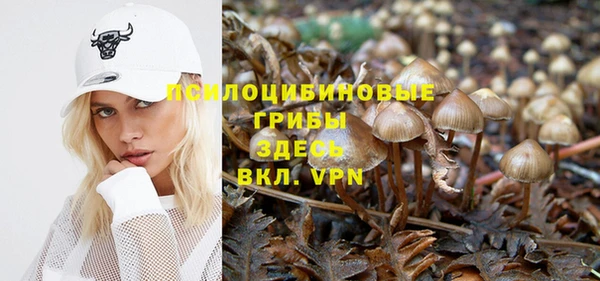 прущая мука Арсеньев